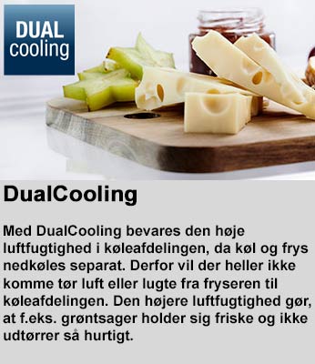 DualCooling