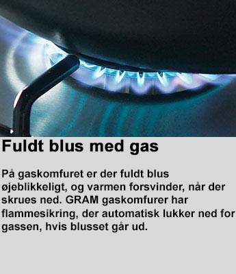Fuldt_blus_med_gas