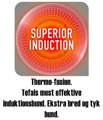 Thermo-fusion